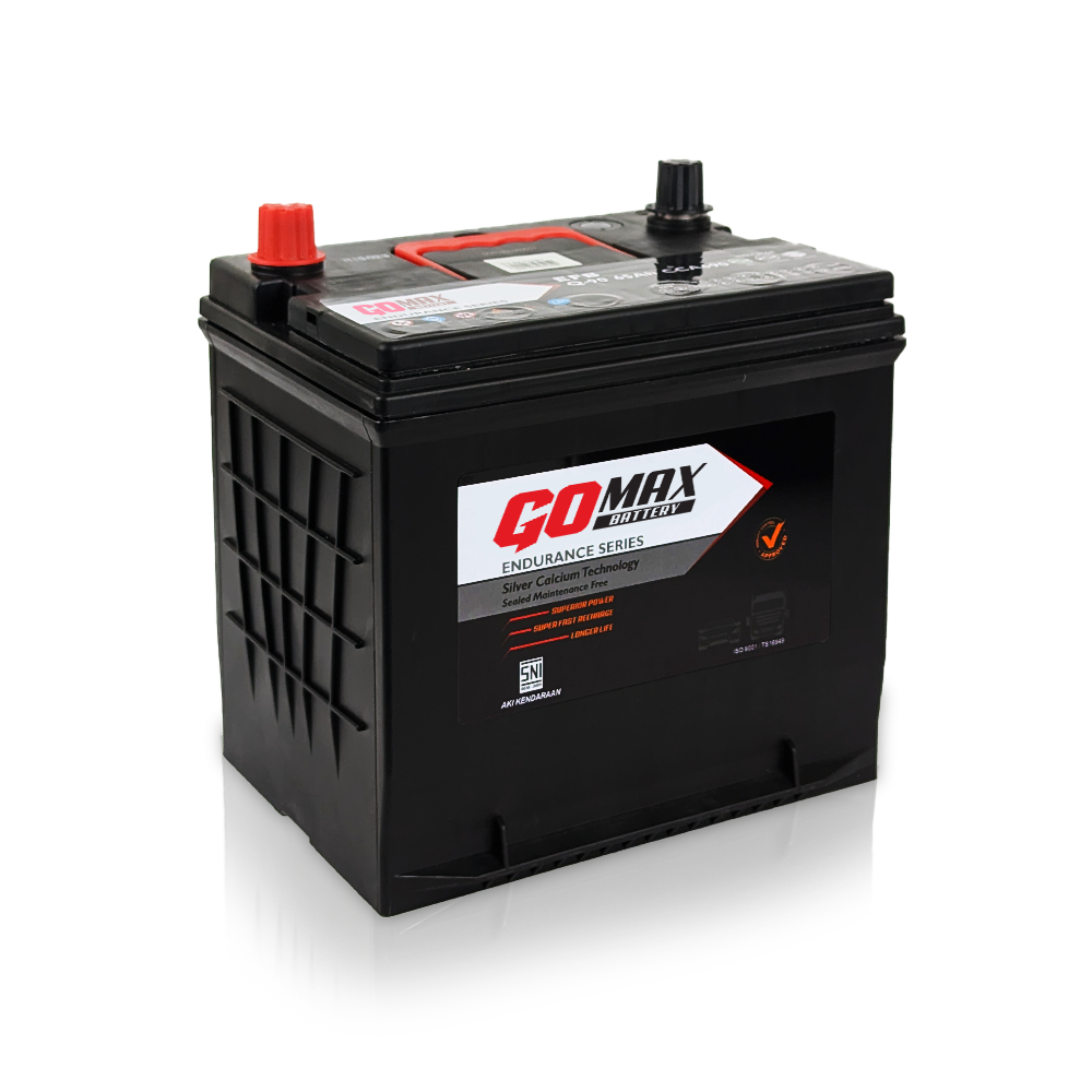 GoMax EFB